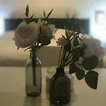 Appartement Tiny Spring Dresde
