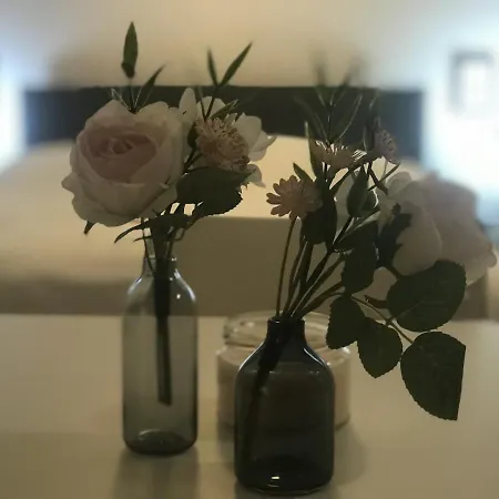 アパート Tiny Spring ドレスデン