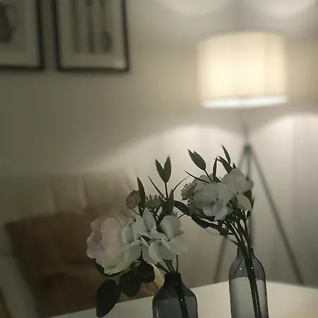 Apartment Tiny Spring